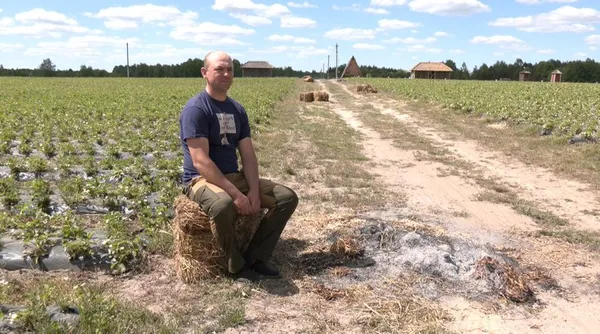 Смородина, полуниця, обліпиха: як на Волині вирощують ягоди (фото, відео)