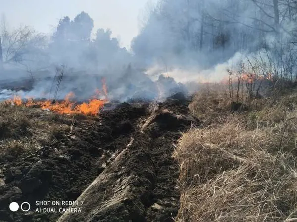 За вихідні на Волині загасили 28 пожеж (фото, відео)