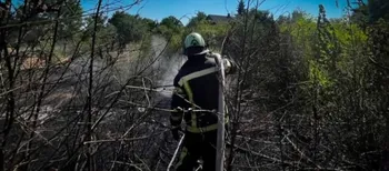 Палала суха трава і стерня: на Волині за добу ліквідували чотири пожежі (фото)