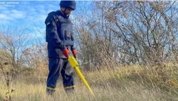 Волинські сапери знайшли 8 снарядів у Луцькому районі та 46 – на Донеччині (фото)