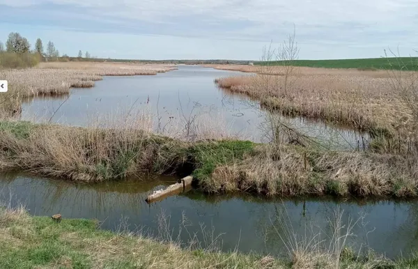 У Луцькому районі здають в оренду дві великі водойми для розведення риби