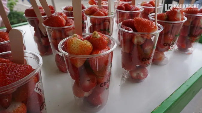 Як минув перший день ювілейного Food Fest у Луцьку (фото)