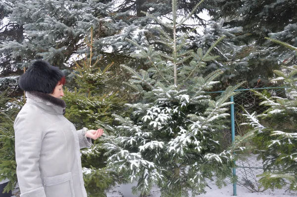 Тетяна Неводнічик знає про ялинки  все