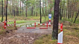 В нацпарку на Волині подбали про захист від пожеж: що зробили (фото)