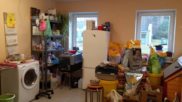 Порівняти з Луцьком: як працюють притулки для тварин  у країнах Європи (фото) 