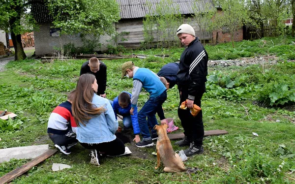 «Більярд» крашанками або прадавній «бейблейд»: як на Великдень розважаються волиняни (відео)