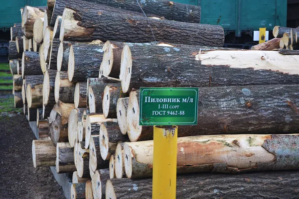 Цінні сортименти – це пиловник дубовий. Всі хлисти дуба відвантажуються на нижній склад і розкрій робиться там. Сьогодні середня реалізаційна ціна пиловника 1-го сорту становить 1 200 гривень, пиловника дубового – від 5 до 7 тисяч гривень.