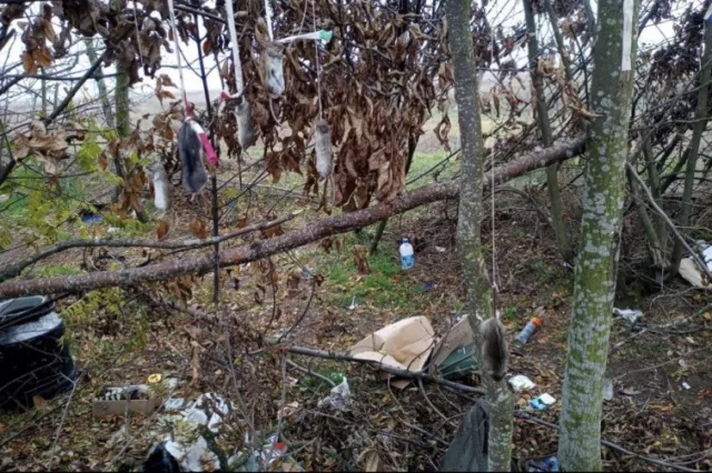 Окупанти на Херсонщині повісили червонокнижних хом'яків