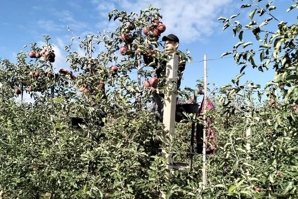 На Волині проводять уроки з агробізнесу для переселенців