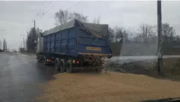 У Луцьку на дорогу з вантажівки випадково висипали майже 20 тонн жому