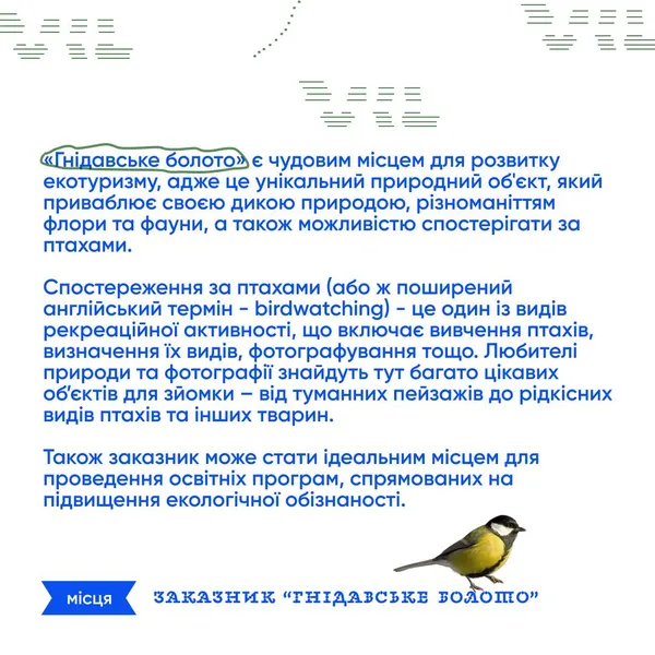 Де у Луцьку ночами збираються мавки