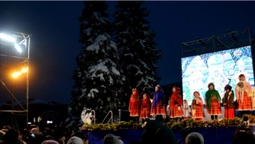 1-2-3, ялиночко, гори: в центрі Луцька - запалення ялинок (фото)
