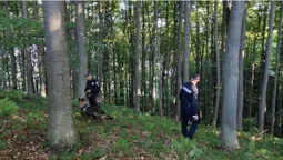 Пішли по чорниці: на Закарпатті з ночі шукають чотирьох дітей (фото)