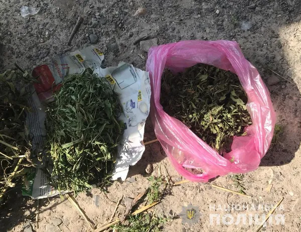 Мак, шприци, конопляний пакунок на зону: наркотичний улов поліції Волині за добу (ФОТО)
