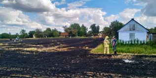 На Рівненщині під час спалювання стерні загинула 90-річна жінка (фото)