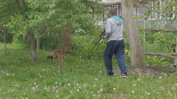 Гарчать і кусають: у Луцьку в одному з дворів собаки не дають спокою місцевим мешканцям (відео)