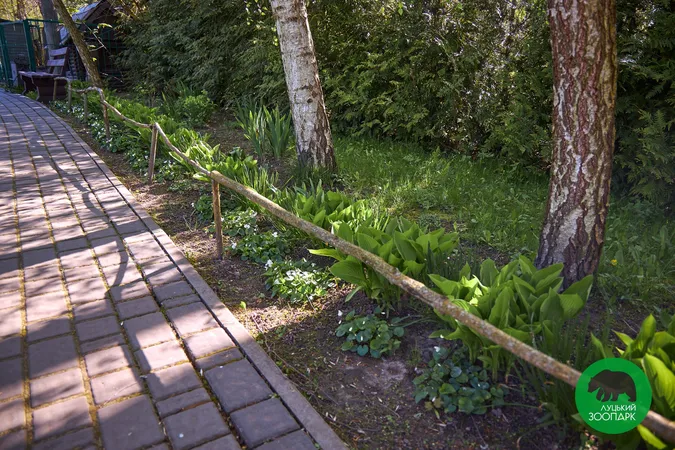 «Погода волає про візит»: Луцький зоопарк заманює до себе відвідувачів (фото)