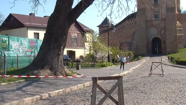 Друге життя Лесиного ясена: у Луцьку зі знаменитого дерева створюють столи та музичні інструменти (фото)