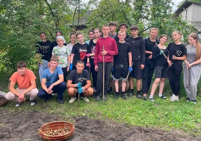 Школярі на Волині гуртом викопали картоплю для мами захисника (фото)