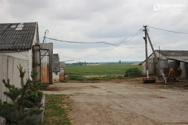 Жінка у хустці: про волинянку Антоніну Ситник, яка керує фермою (фото)*