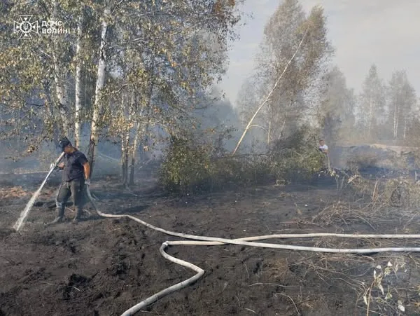 На Волині – масштабна пожежа: рятувальники, лісівники і місцеве населення гасять торф'яник (фото, відео)