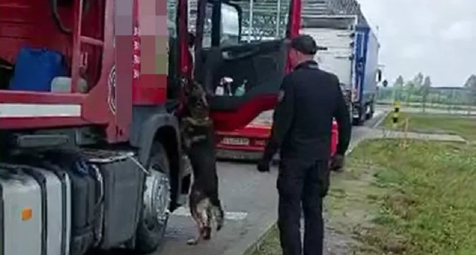 В «Устилузі» службовий пес знайшов «травку» в кабіні фури (фото)