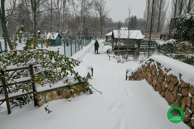 Луцький зоопарк накрило сніжною ковдрою (фото)