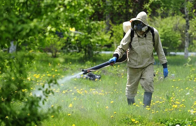 Дві ночі у центральному парку Луцька труїтимуть кліщів і комарів