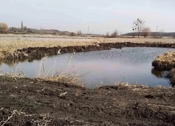 У заказнику на Волині «виріс» ставок-нелегал