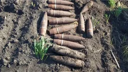 На Володимирщині знешкодять старі боєприпаси (відео)
