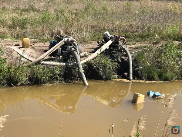 Бурштиновий промисел на карантині: що відбувається на поліських клондайках (фото, відео)