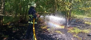 Дві пожежі за день: на Волині вигоріло майже 2 гектари сухостою (фото)