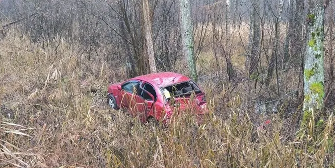 На Волині 58-річна полтавчанка на Mitsubishi злетіла у кювет (фото)