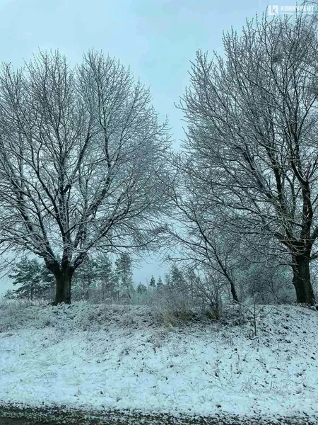 Казкова зима на Волині у квітні: фото, які перехоплюють дух
