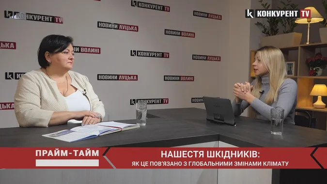 Чому у Луцькій громаді нашестя шкідників і як це пов'язано зі зміною клімату. Прайм-Тайм з Оксаною Лисак (відео)