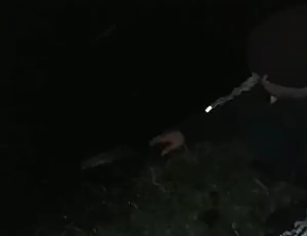 У центральному парку Луцька чоловік уночі ловив рибу (відео)