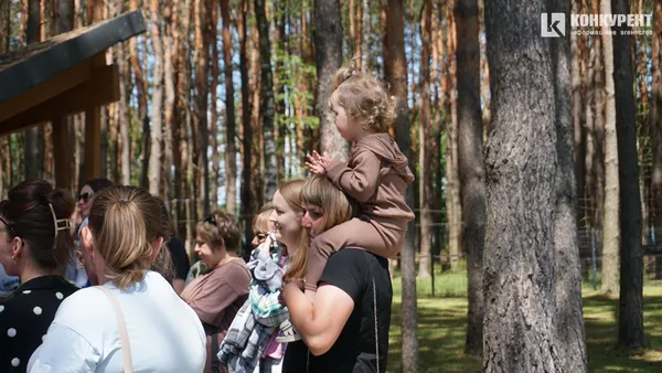 Де безпечно відпочивати з дітьми: ДП «Ліси України» запускає другий етап проєкту «Вікно у ліс»