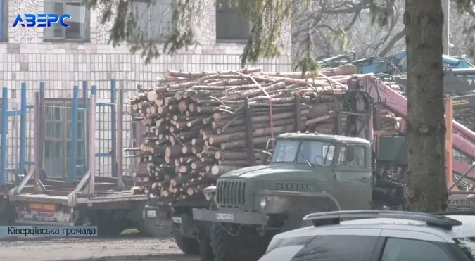 На Волині пенсіонерка купила дрова та втрапила в кримінал: деревину вилучили (відео)