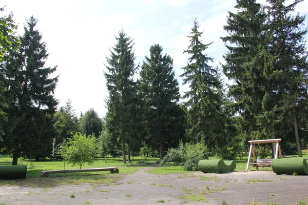 Гніздо посеред Луцька: як болотиста заплава стала «Пташиним гаєм» (фото)