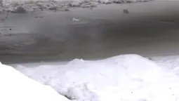 Чотири громади на Волині можуть опинитися під водою (відео)