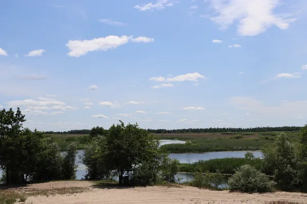 Тут зупинився час: на Волині серед лісів і боліт збереглося унікальне село, відрізане від цивілізації (фото)