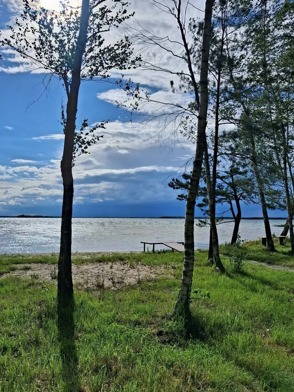 Світязь вразив незвичним видовищем: вода в озері стала схожою на рідке срібло (фото)