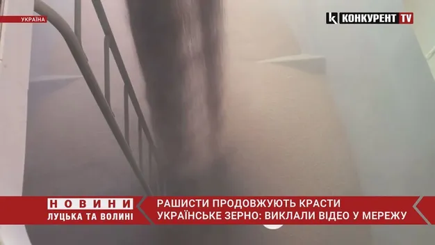 Російські пропагандисти виклали відео, як окупанти крадуть в Україні зерно (відео)