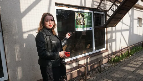 Він помер у кінці лютого: історія лева Ніка із Луцького зоопарку (фото)