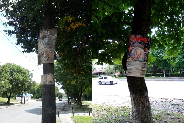 Лучан просять повідомляти про незаконну рекламу на деревах (фото)