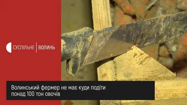 Волинський фермер через карантин утилізував 20 тонн овочів (фото, відео)