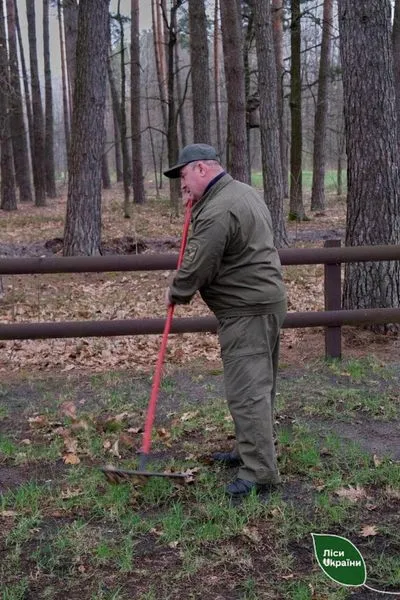 У волинських лісах прибрали зони відпочинку (фото)