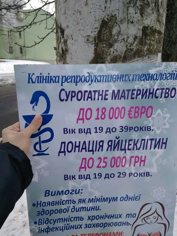 У Луцьку на стовпах рекламують сурогатне материнство (фото)