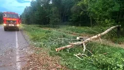На Волині буревій наробив лиха: повалені дерева паралізували рух транспорту (фото)