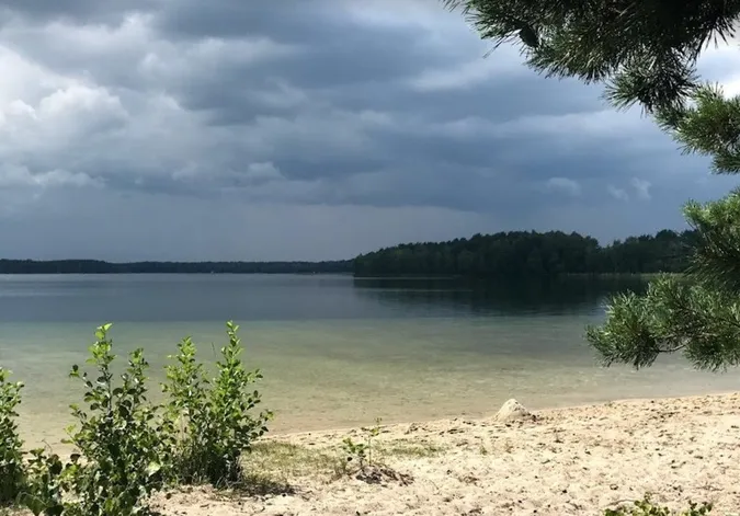 Де на Волині ховається кришталеве озеро, куди їдуть за тишею та чистою водою (відео)